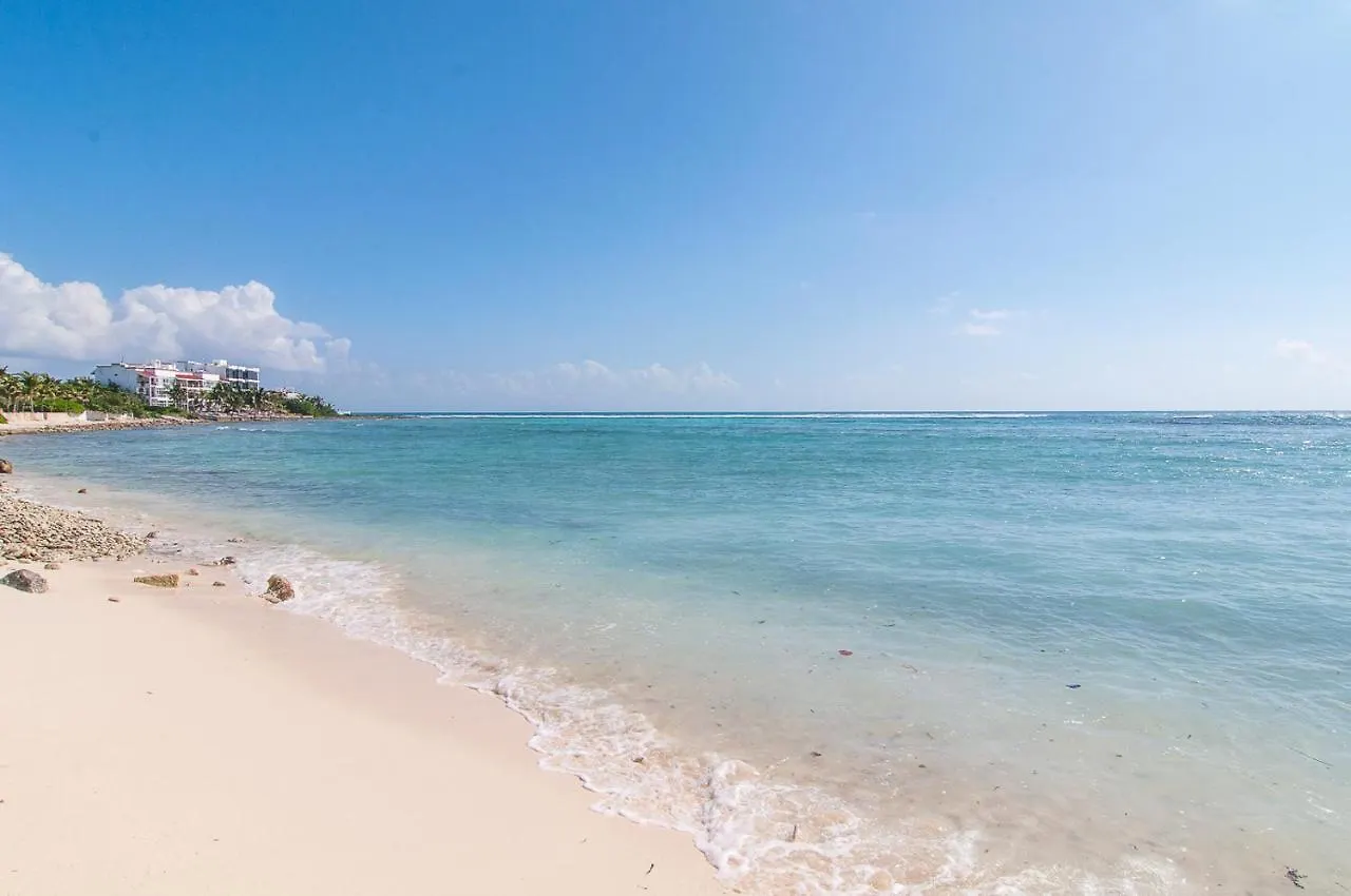 Exclusive 2 Bedrooms Penthouse With Jacuzzi And Pool Facilities Akumal 0*,  México