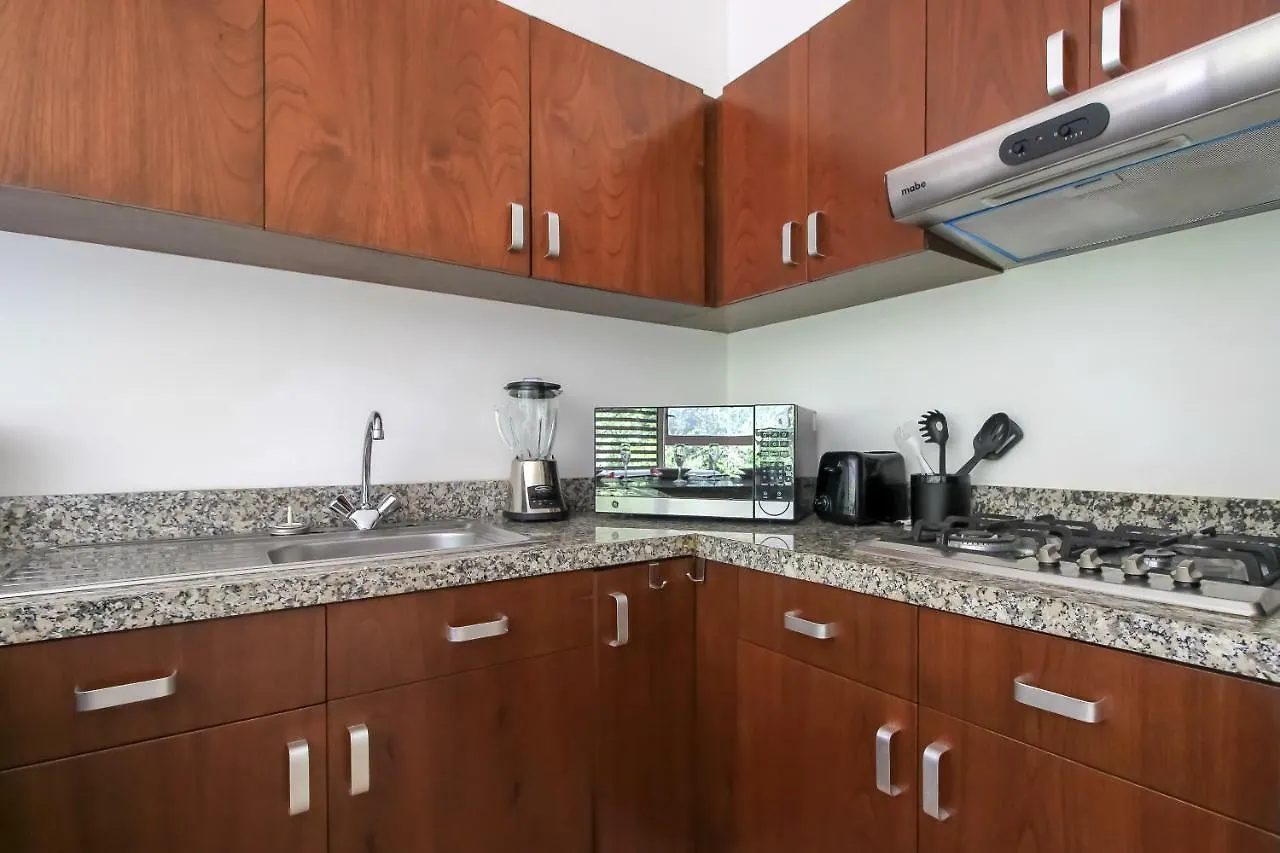 Exclusive 2 Bedrooms Penthouse With Jacuzzi And Pool Facilities Akumal Apartment