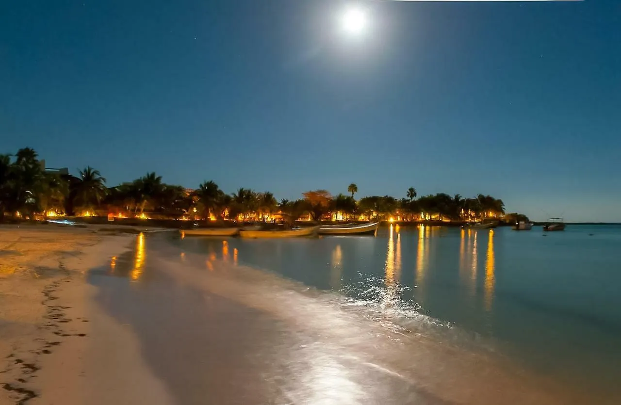 Apartment Exclusive 2 Bedrooms Penthouse With Jacuzzi And Pool Facilities Akumal